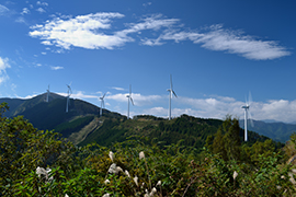 中九州大仁田山風力発電所